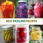 collage of pickling recipes.
